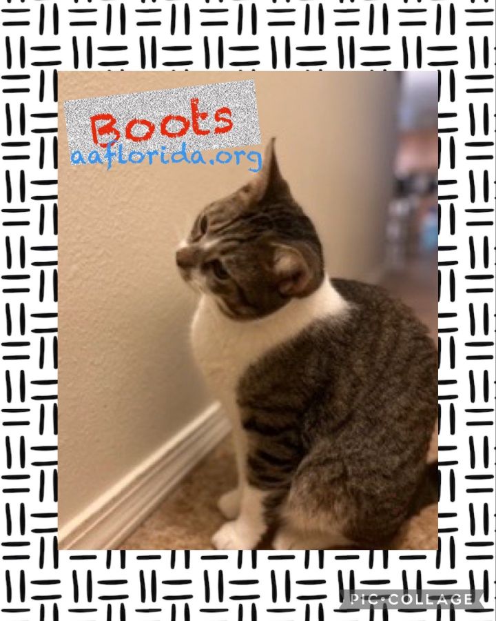 Boots 3