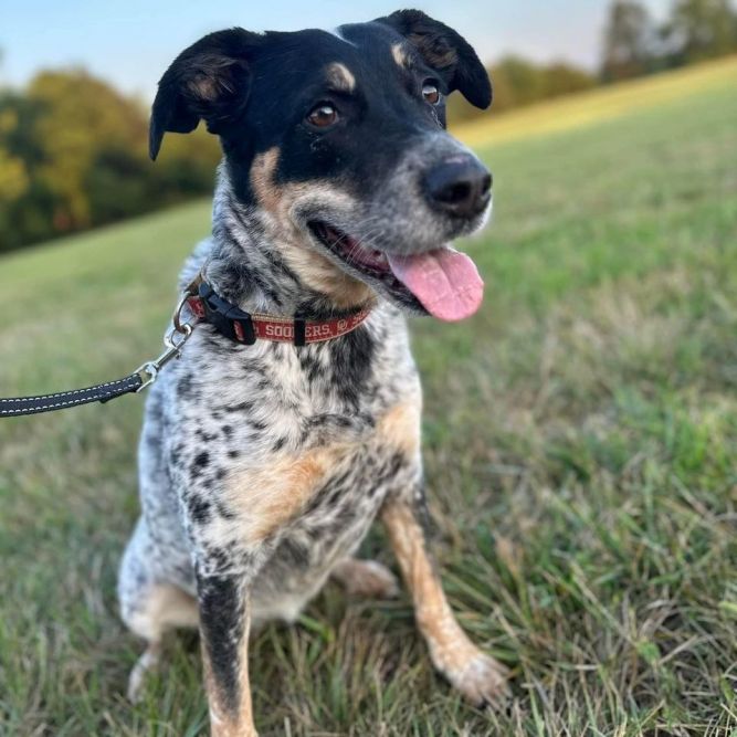 Ginny  **FEE SPONSORED**