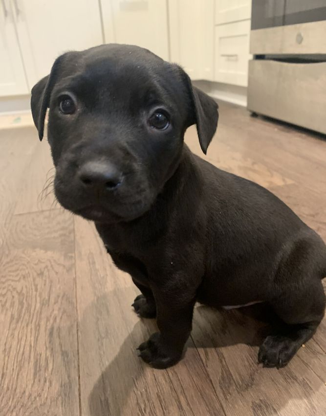 Oliver