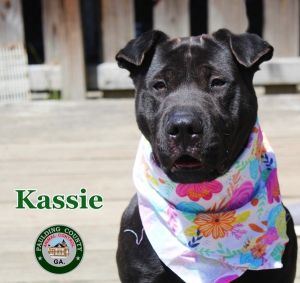 23-03-0749 Kassie
