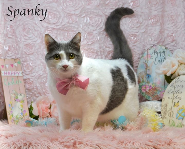 Spanky 1