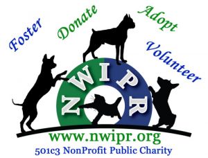 **FOSTERS NEEDED** 
