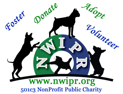 **FOSTERS NEEDED**  1