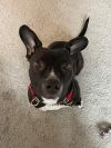 Bella photo 4