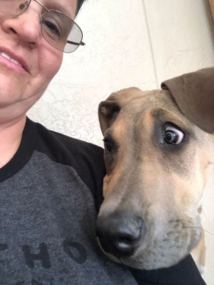 Sadie 1