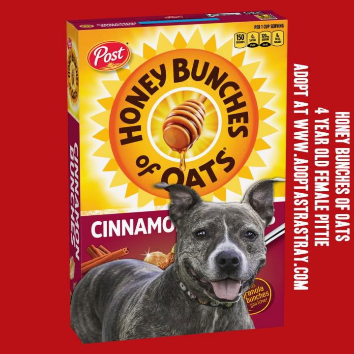 Honey Bunches of Oats 1