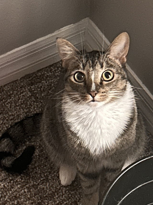 Sulu