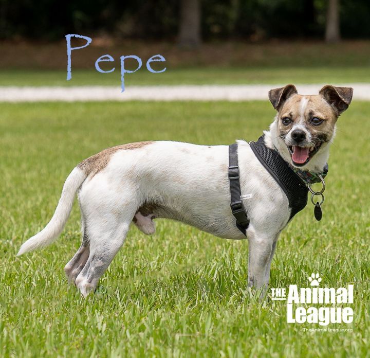 Pepe 1