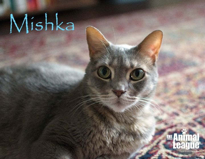 Mishka 1