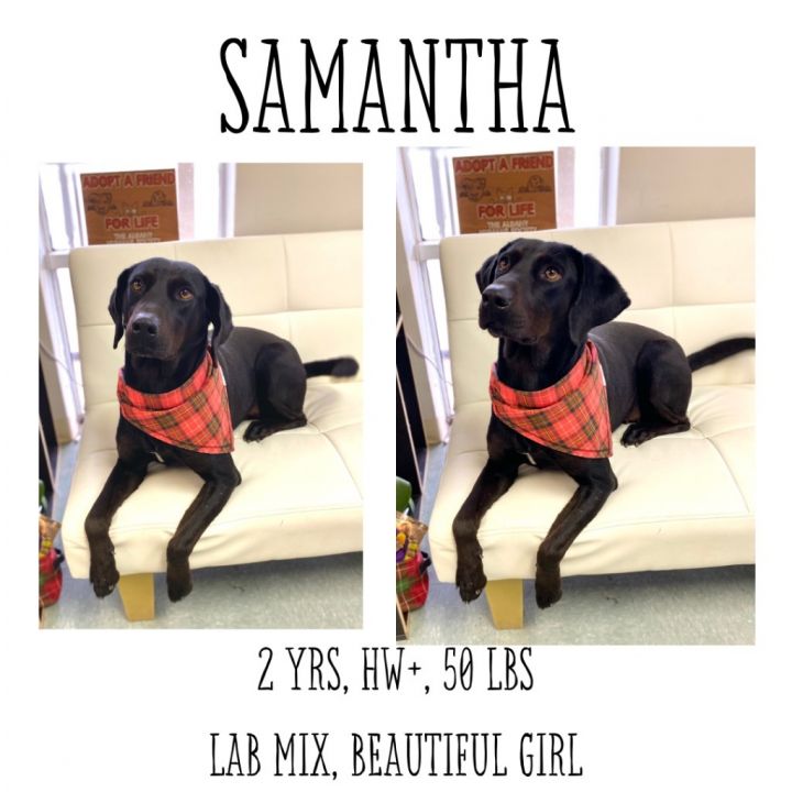 Samantha 1