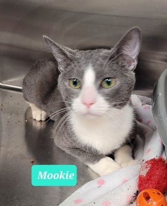 Mookie