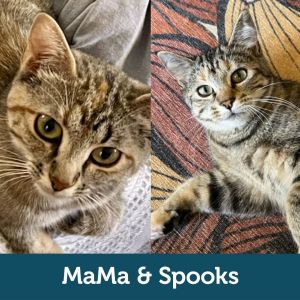 MaMa & Spooks (Bonded Pair)