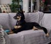 KITA (formerly WYNONA)