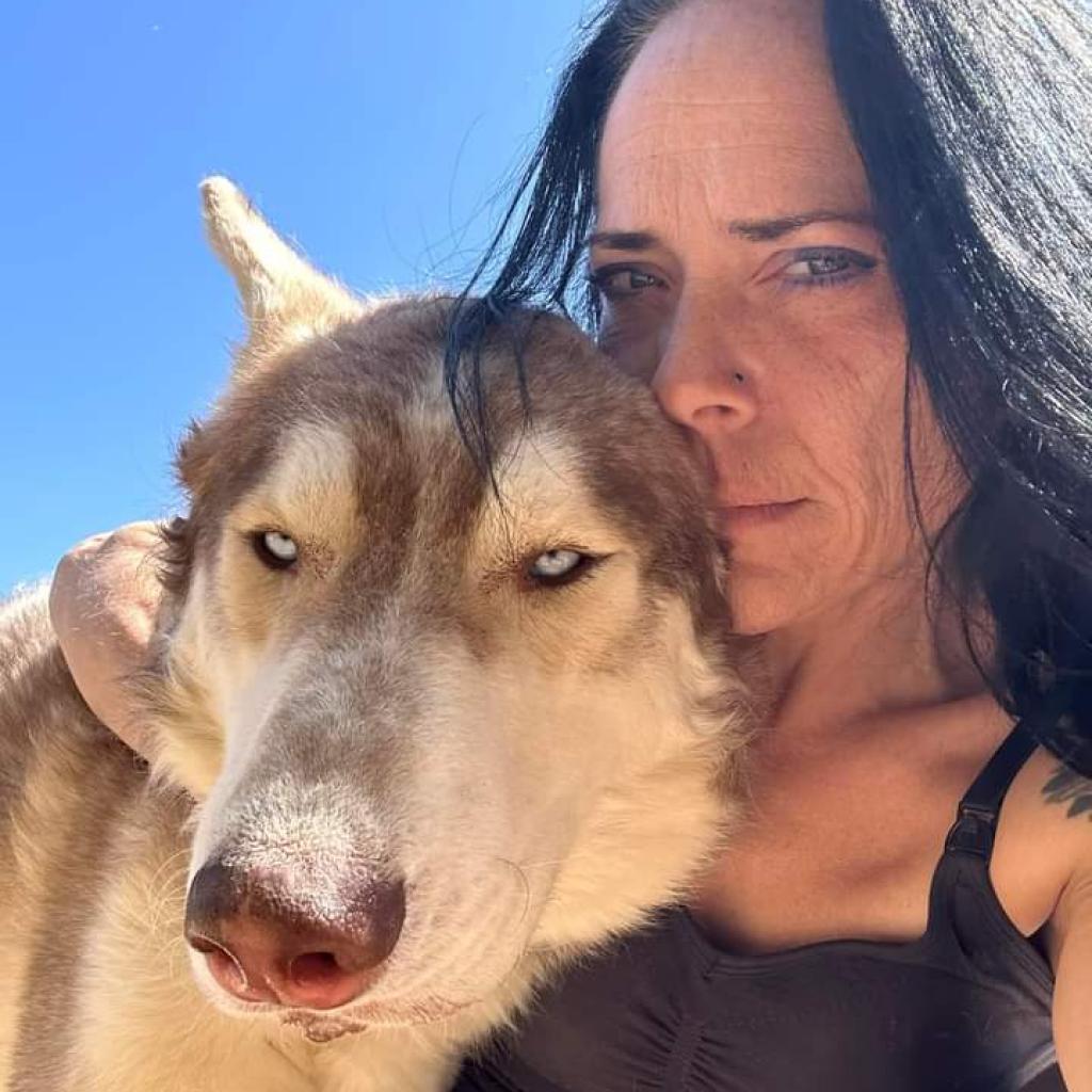 Rusty, an adoptable Husky in Eufaula, OK, 74432 | Photo Image 1