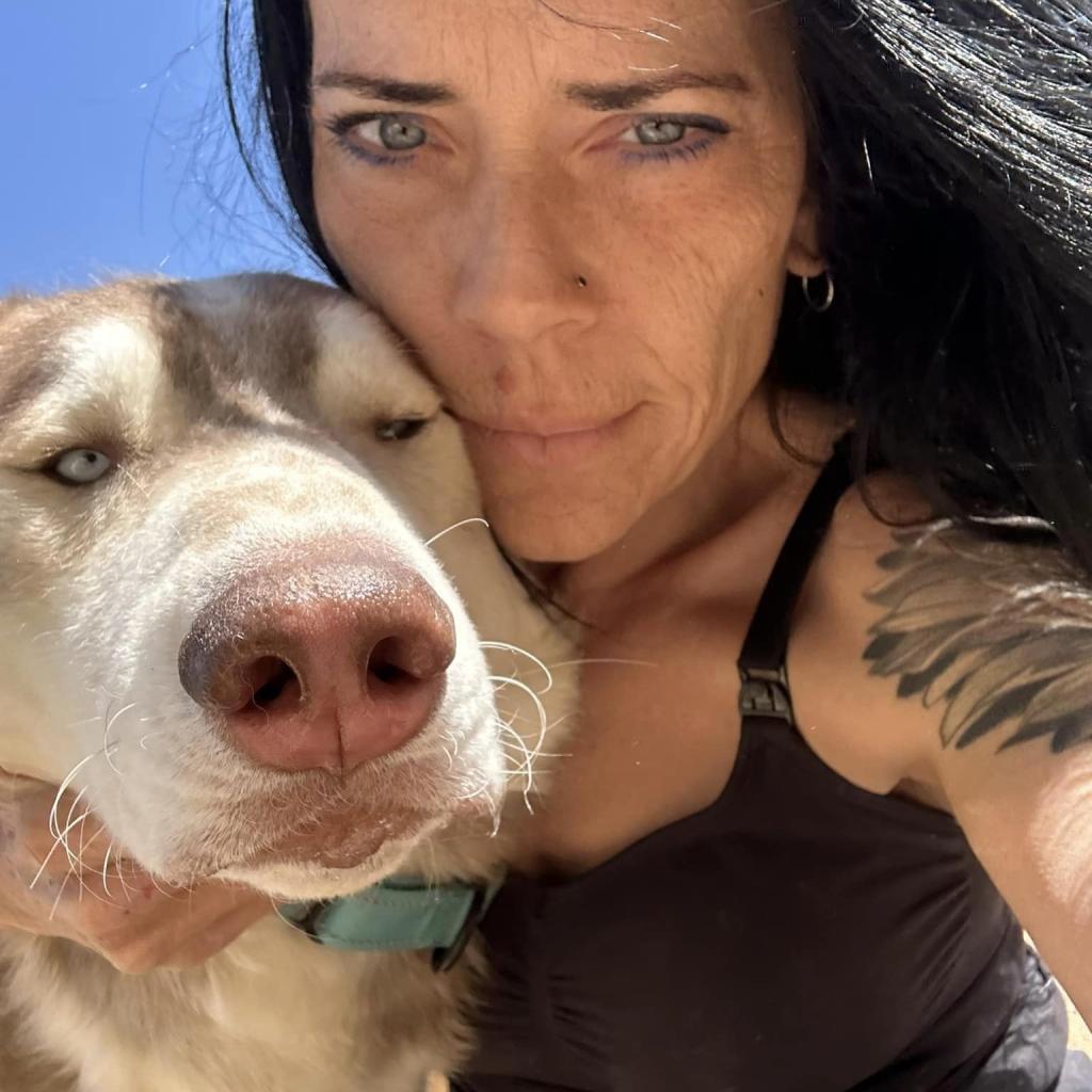 Rusty, an adoptable Husky in Eufaula, OK, 74432 | Photo Image 5