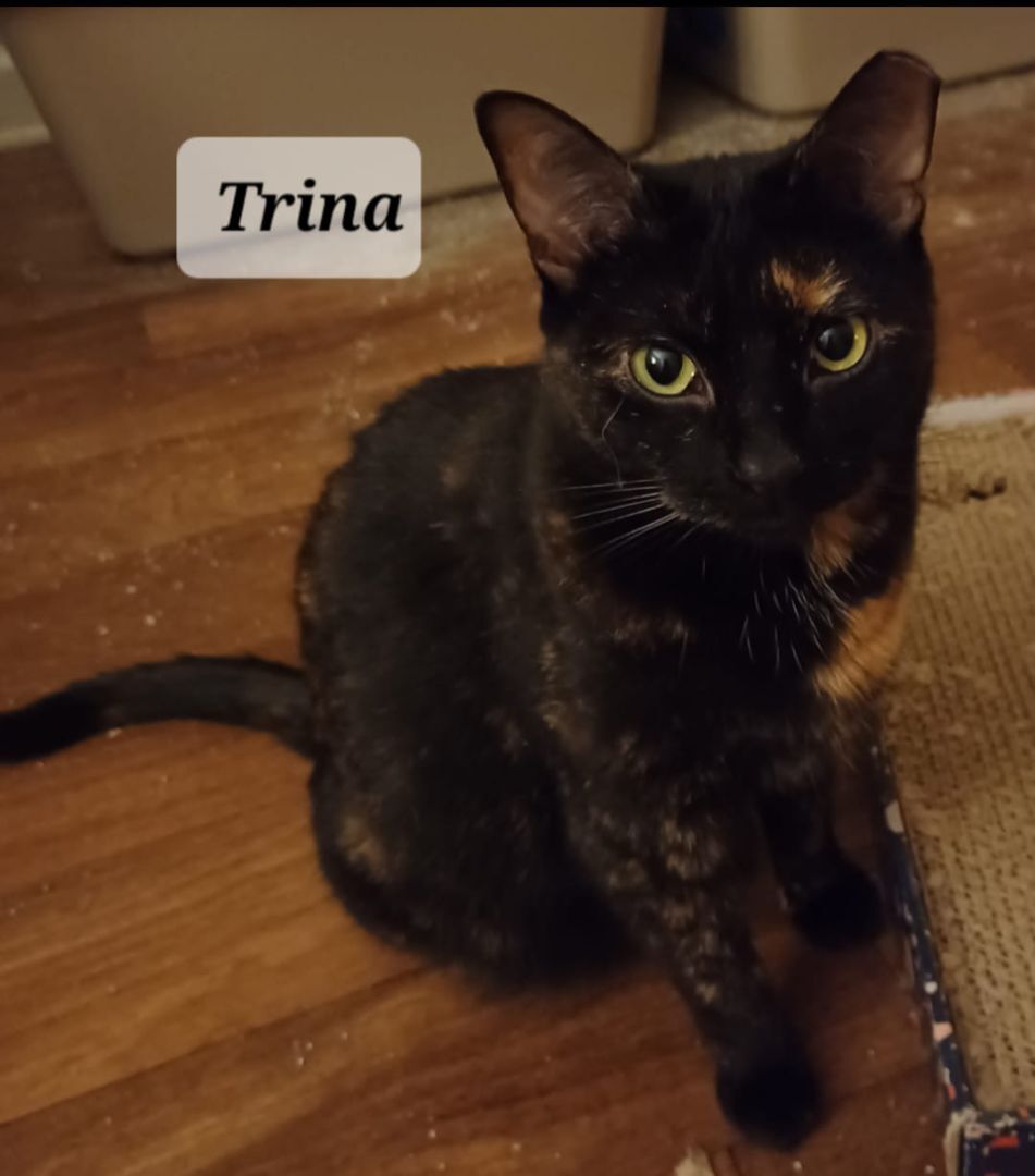 Trina - shy & loving