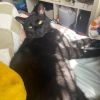 Geoffrey photo 3