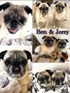 Ben & Jerry