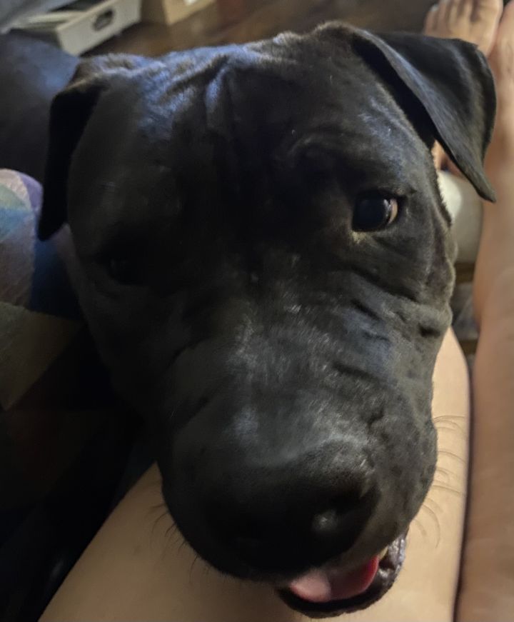 ASTRO 4
