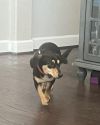 Roxie 
