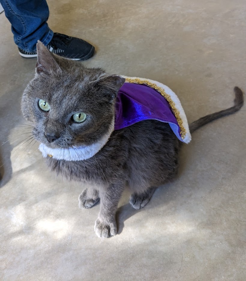 Prince Caspian