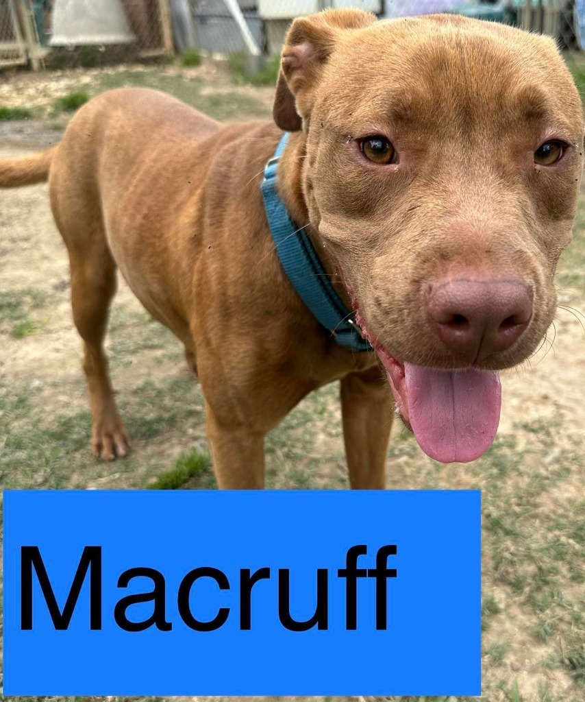 MACRUFF