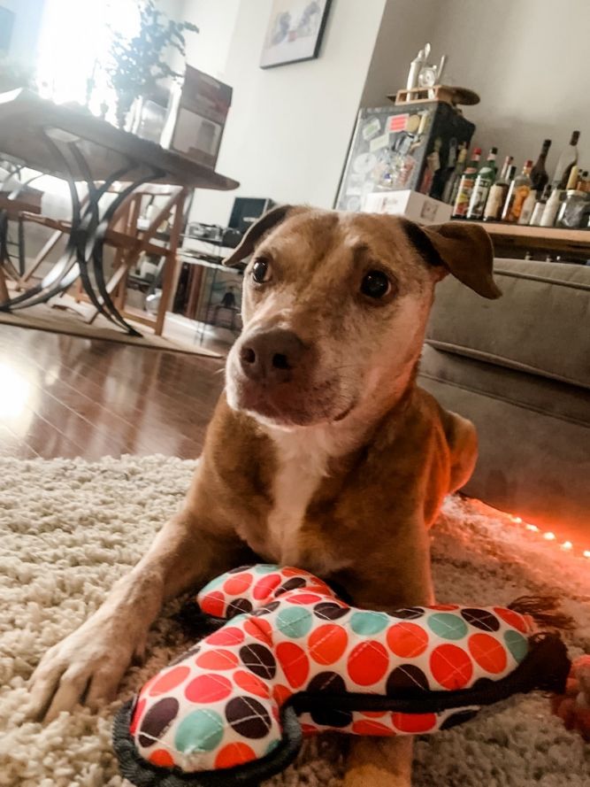 LAYLA!