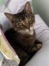 Squirt - Foster Needed!