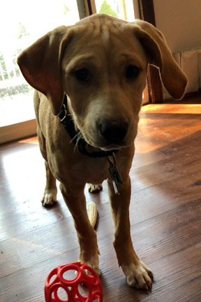 KAHLUA 2