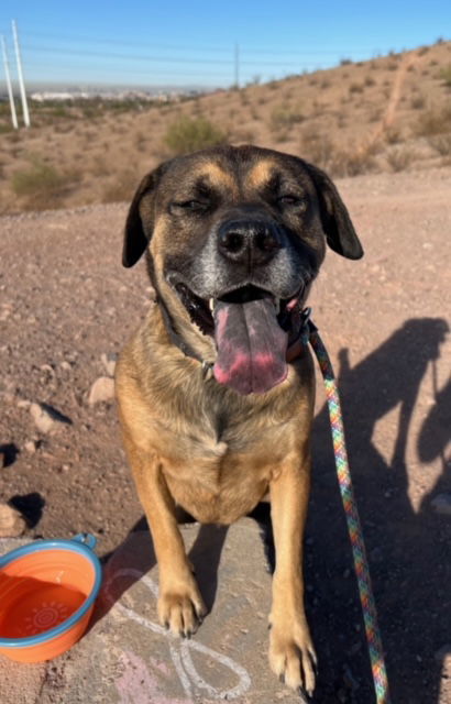 Rosco