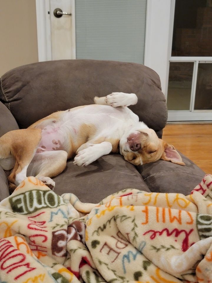 Lola (Daisy) 6