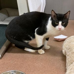 Liam is a very gentle but shy boy who enjoys a quiet calm home with a loving and patient person