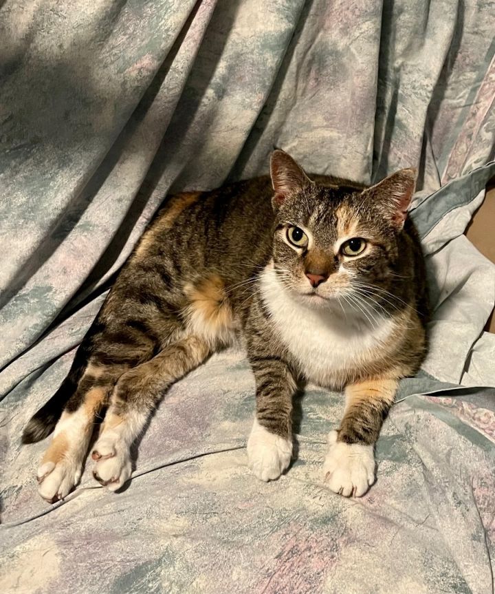 Lily-Allentown,PA  1