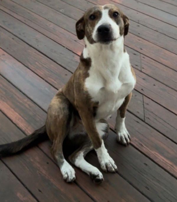 Bailee6