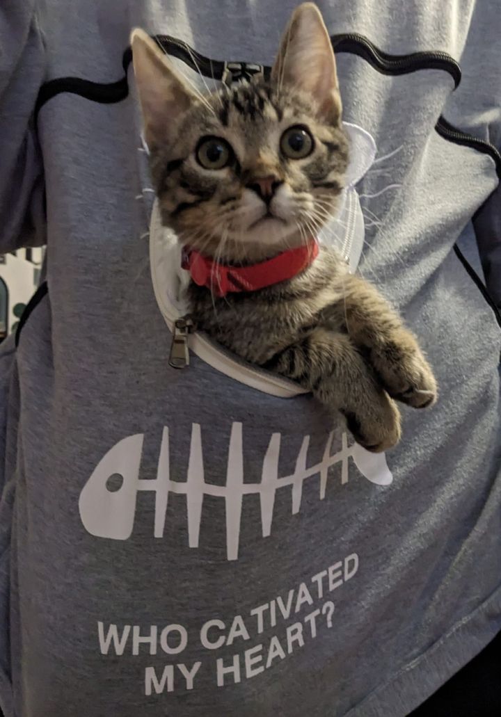 KitKat 1