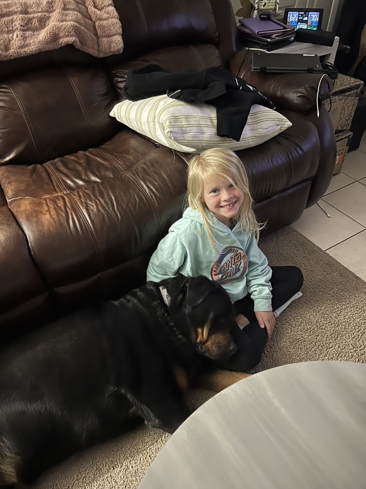 Novah, an adoptable Rottweiler in Gilbert, AZ, 85296 | Photo Image 3