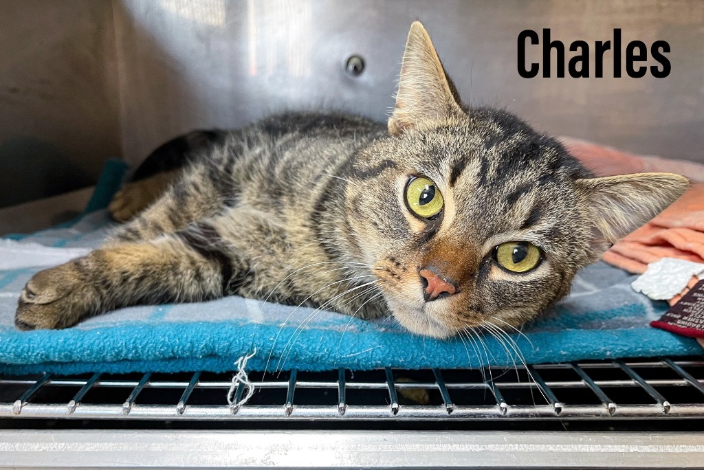 Charles