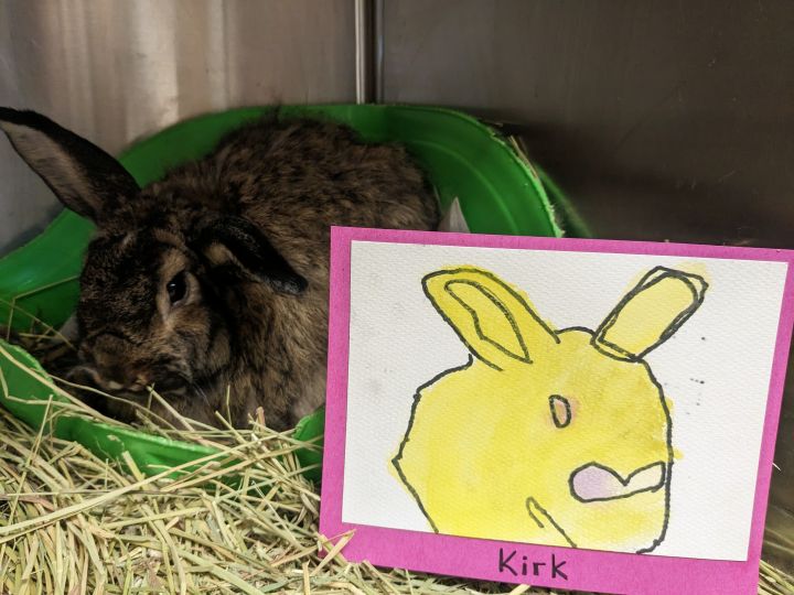Kirk 3