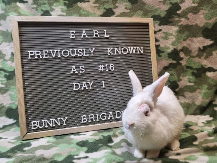 Earl 3