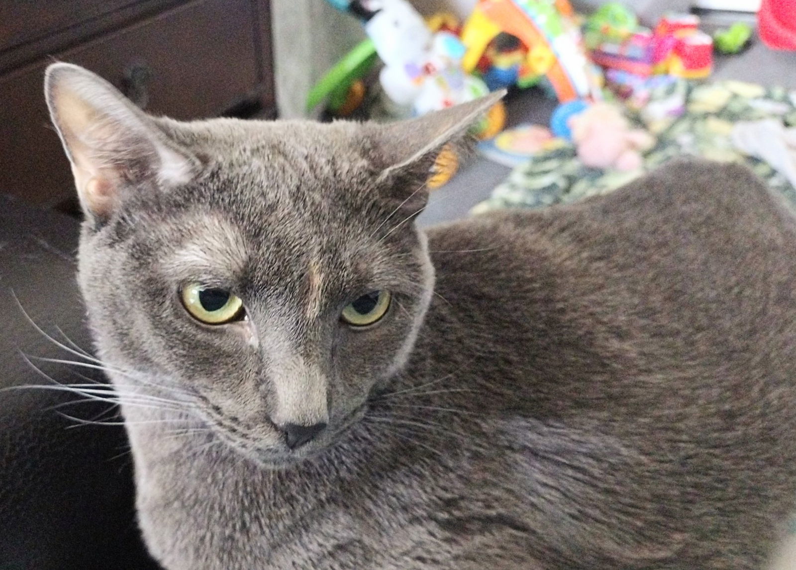 Uma
