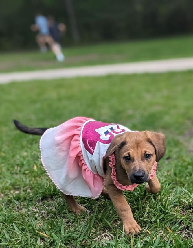 Suzie