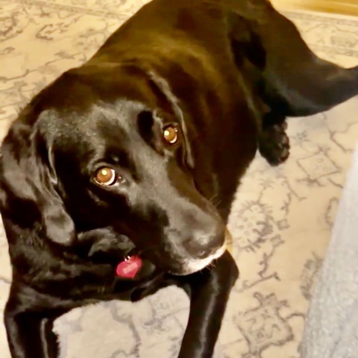Nala One 1