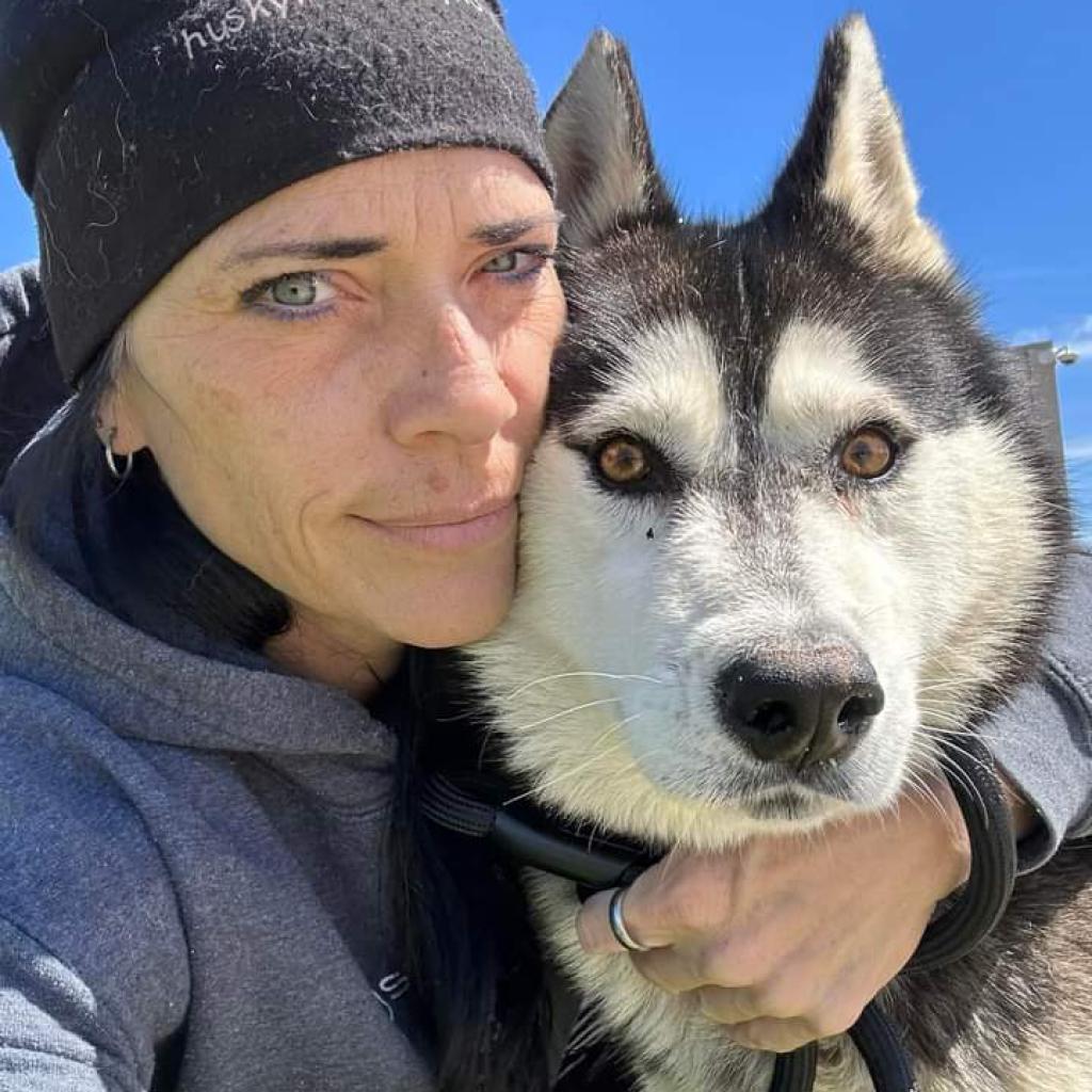 Froto, an adoptable Husky in Eufaula, OK, 74432 | Photo Image 1