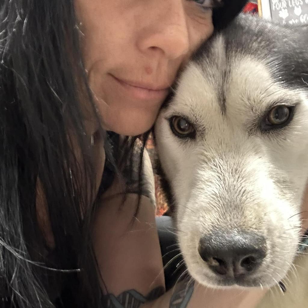 Marty, an adoptable Husky in Eufaula, OK, 74432 | Photo Image 2