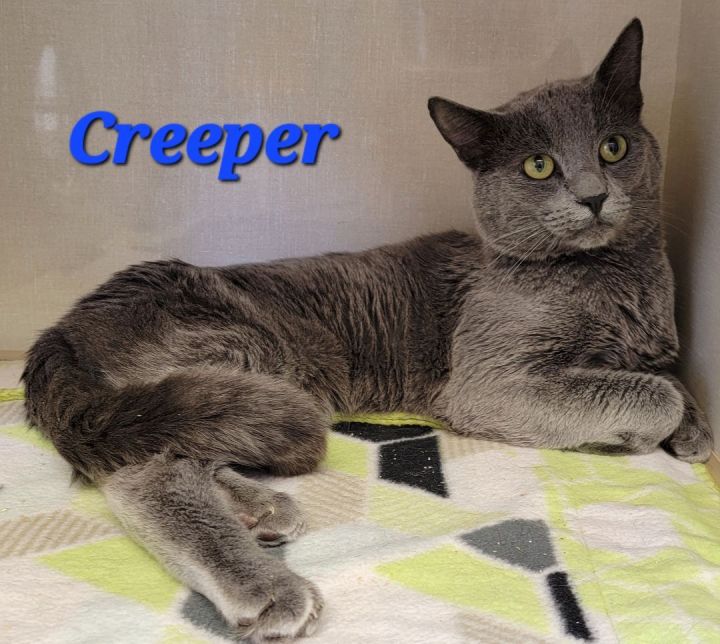 Creeper UPDATE 1