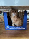 Twix photo 2
