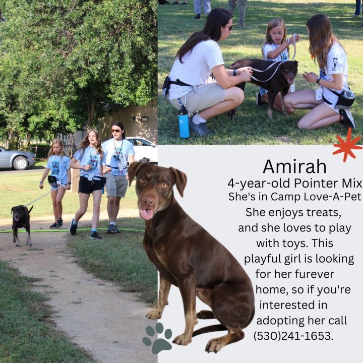Amirah 3