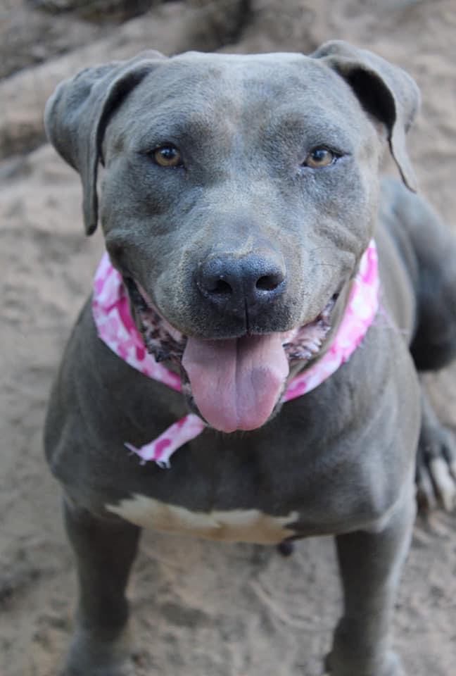 Violet (In Foster Home) 6