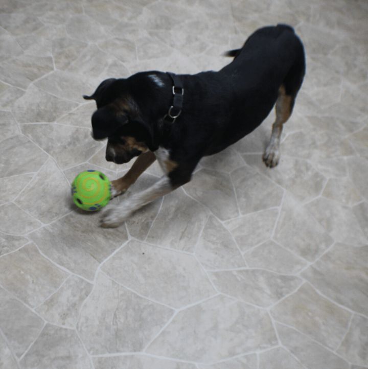 Sammie 4