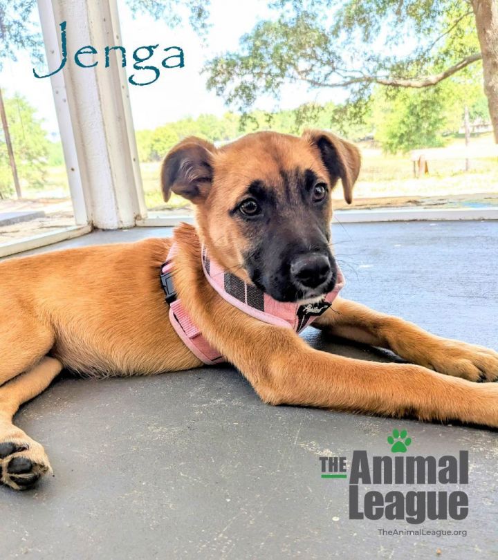 Jenga 5